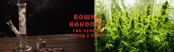 стаф Богданович