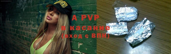 стаф Богданович