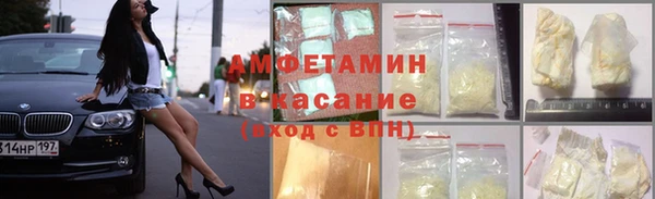 стаф Богданович