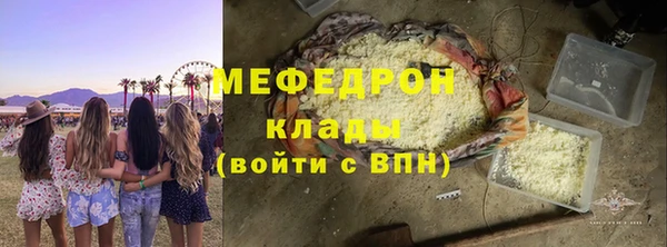 стаф Богданович