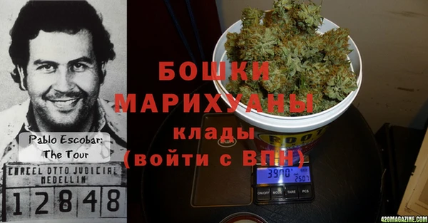 стаф Богданович