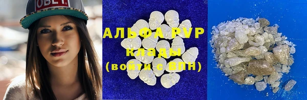 стаф Богданович