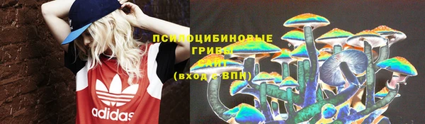 стаф Богданович
