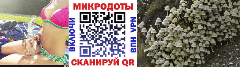 Галлюциногенные грибы GOLDEN TEACHER  Красновишерск 